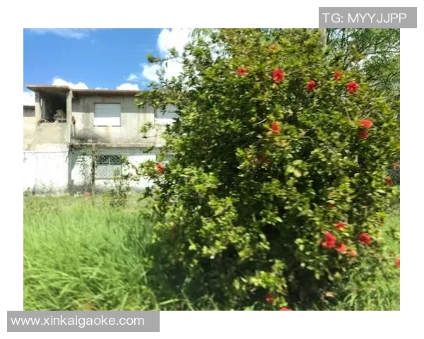 怀旧之旅回顾曾经的足球明星海报与他们的辉煌岁月 怀旧之旅回顾曾经的足球明星海报与他们的辉煌岁月