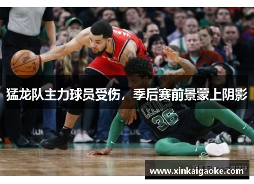 猛龙队主力球员受伤，季后赛前景蒙上阴影
